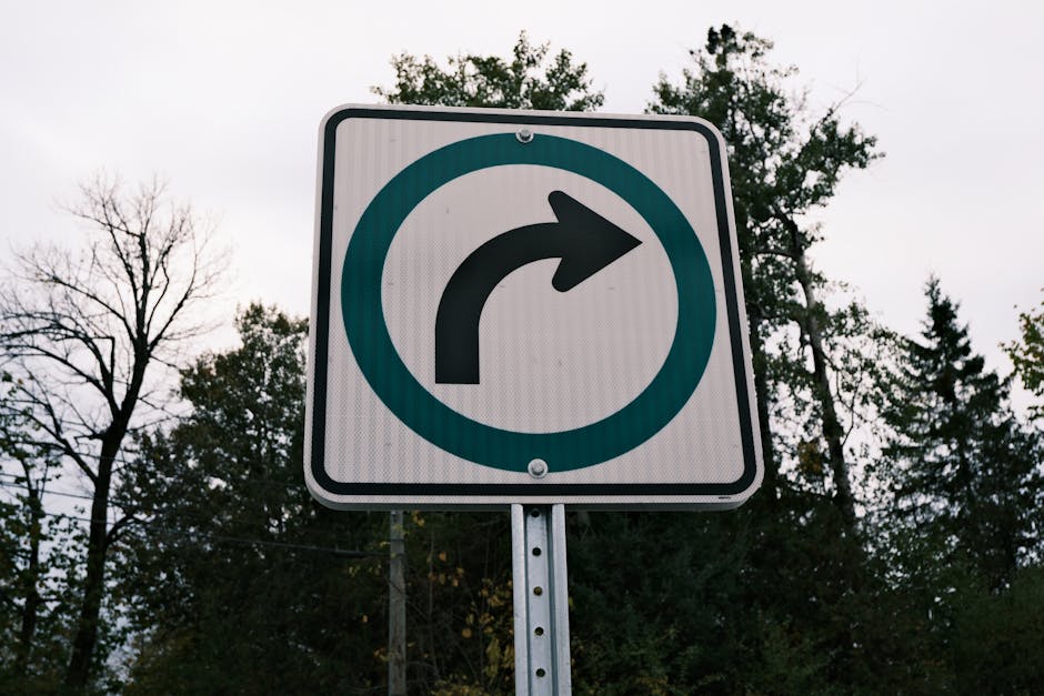 pexels photo 34322523 34322523 A right turn traffic sign against a backdrop of trees captured outdoors.
